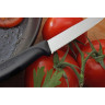 Нож для стейков и пиццы VICTORINOX 6.7933.12
